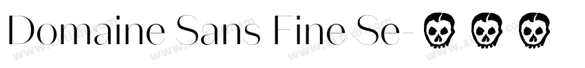 Domaine Sans Fine Se字体转换